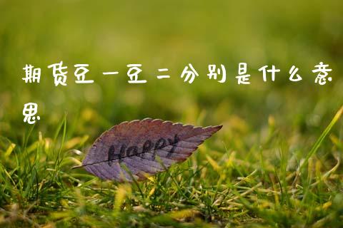 期货豆一豆二分别是什么意思_https://cj002.lansai.wang_会计问答_第1张