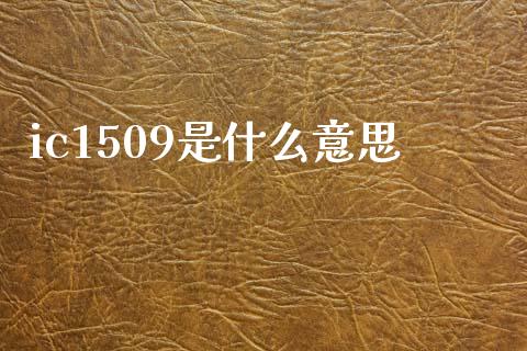 ic1509是什么意思_会计问答_第1张_财经百问网 ic1509是什么意思_https://cj002.lansai.wang_会计问答_第1张