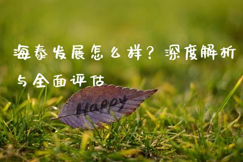 海泰发展怎么样？深度解析与全面评估_https://cj002.lansai.wang_财经问答_第1张