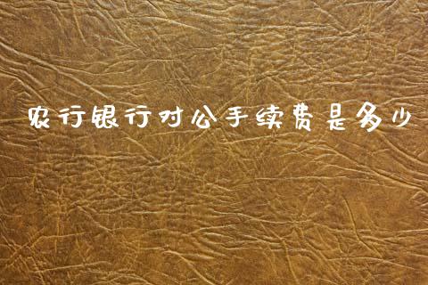 农行银行对公手续费是多少_https://cj002.lansai.wang_理财问答_第1张