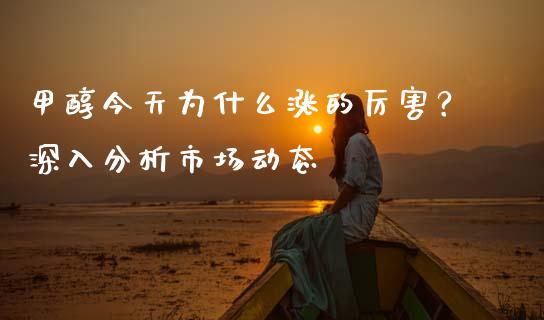 甲醇今天为什么涨的厉害？深入分析市场动态_https://cj002.lansai.wang_金融问答_第1张