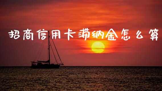 招商信用卡滞纳金怎么算_https://cj002.lansai.wang_金融问答_第1张