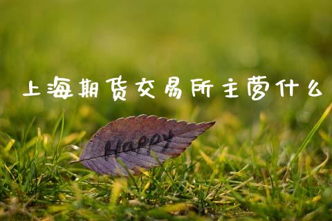 上海期货交易所主营什么_财经百问_第1张_财经百问网 上海期货交易所主营什么_https://cj002.lansai.wang_财经百问_第1张