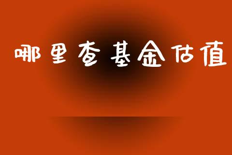 哪里查基金估值_https://cj002.lansai.wang_理财问答_第1张