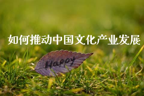 如何推动中国文化产业发展_https://cj002.lansai.wang_会计问答_第1张