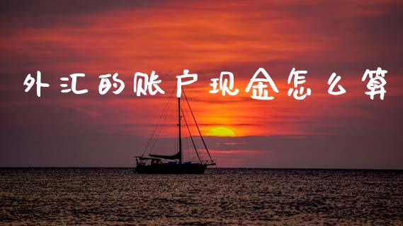 外汇的账户现金怎么算_https://cj002.lansai.wang_财经问答_第1张
