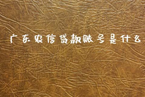 广东农信贷款账号是什么_https://cj002.lansai.wang_金融问答_第1张
