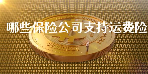 哪些保险公司支持运费险_https://cj002.lansai.wang_金融问答_第1张