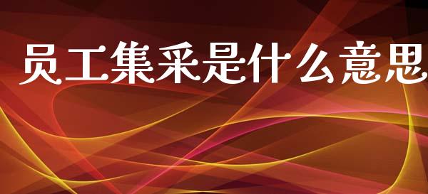 员工集采是什么意思_https://cj002.lansai.wang_金融问答_第1张