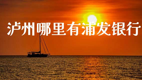 泸州哪里有浦发银行_https://cj002.lansai.wang_股市问答_第1张