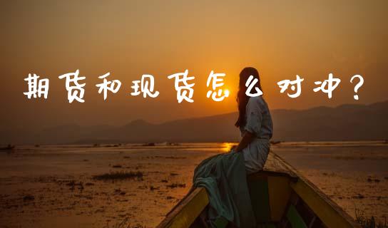 期货和现货怎么对冲？_https://cj002.lansai.wang_财经百问_第1张