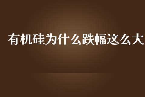 有机硅为什么跌幅这么大_https://cj002.lansai.wang_期货问答_第1张