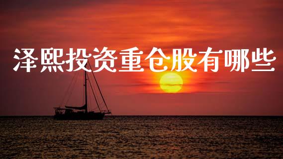 泽熙投资重仓股有哪些_https://cj002.lansai.wang_会计问答_第1张