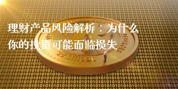 理财产品风险解析：为什么你的投资可能面临损失_https://cj002.lansai.wang_财经百问_第1张