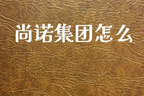 尚诺集团怎么_https://cj002.lansai.wang_金融问答_第1张