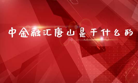 中金融汇唐山是干什么的_https://cj002.lansai.wang_期货问答_第1张