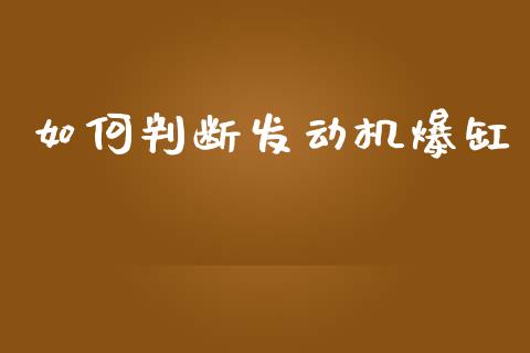 如何判断发动机爆缸_https://cj002.lansai.wang_财经问答_第1张