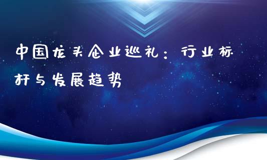 中国龙头企业巡礼:行业标杆与发展趋势_期货问答_第1张_财经百问网 中国龙头企业巡礼:行业标杆与发展趋势_https://cj002.lansai.wang_期货问答_第1张