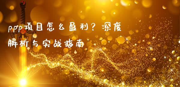 ppp项目怎么盈利？深度解析与实战指南_https://cj002.lansai.wang_保险问答_第1张