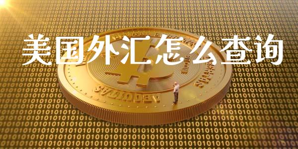 美国外汇怎么查询_https://cj002.lansai.wang_财经问答_第1张