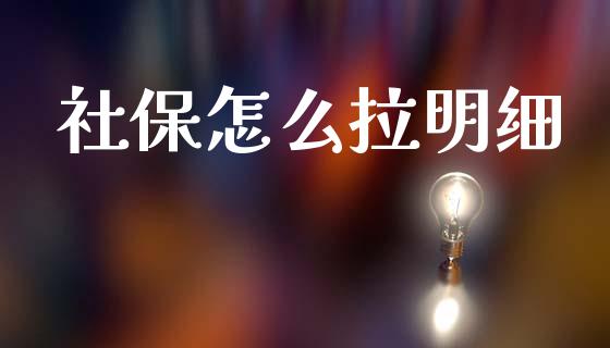 社保怎么拉明细_https://cj002.lansai.wang_保险问答_第1张