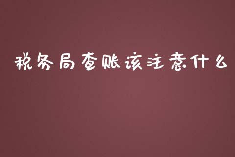 税务局查账该注意什么_https://cj002.lansai.wang_会计问答_第1张