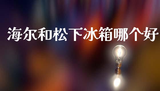 海尔和松下冰箱哪个好_https://cj002.lansai.wang_理财问答_第1张