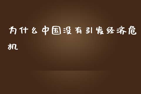 为什么中国没有引发经济危机_https://cj002.lansai.wang_会计问答_第1张