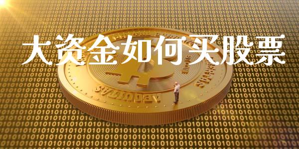 大资金如何买股票_https://cj002.lansai.wang_金融问答_第1张