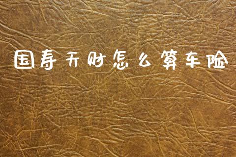 国寿天财怎么算车险_https://cj002.lansai.wang_保险问答_第1张