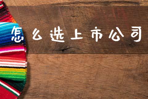 怎么选上市公司_https://cj002.lansai.wang_财经百问_第1张