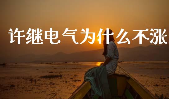 许继电气为什么不涨_https://cj002.lansai.wang_理财问答_第1张