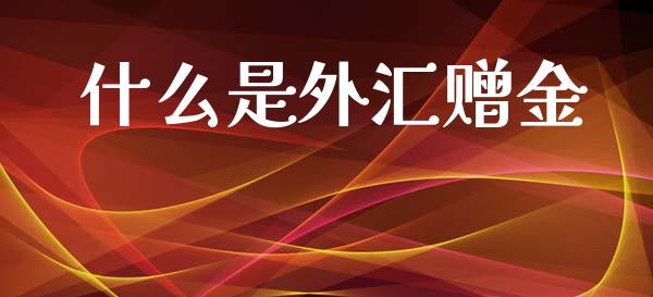 什么是外汇赠金_https://cj002.lansai.wang_财经问答_第1张