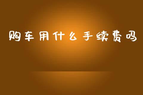 购车用什么手续费吗_https://cj002.lansai.wang_理财问答_第1张