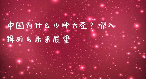 中国为什么少种大豆？深入解析与未来展望_https://cj002.lansai.wang_财经问答_第1张