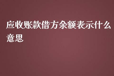 应收账款借方余额表示什么意思_https://cj002.lansai.wang_会计问答_第1张