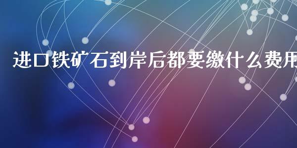 进口铁矿石到岸后都要缴什么费用_https://cj002.lansai.wang_金融问答_第1张