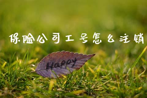 保险公司工号怎么注销_https://cj002.lansai.wang_保险问答_第1张