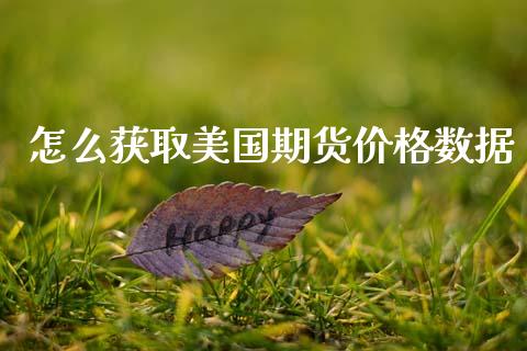 怎么获取美国期货价格数据_https://cj002.lansai.wang_股市问答_第1张