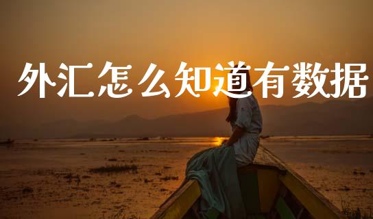 外汇怎么知道有数据_https://cj002.lansai.wang_财经问答_第1张