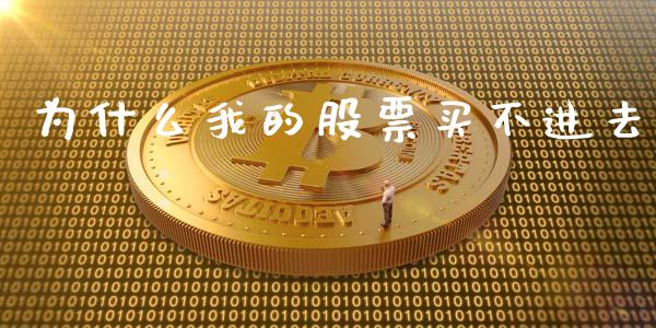 为什么我的股票买不进去_https://cj002.lansai.wang_理财问答_第1张
