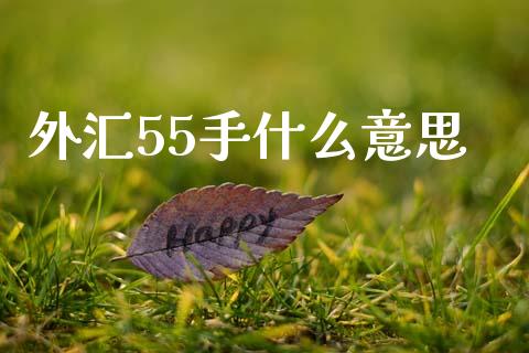外汇55手什么意思_https://cj002.lansai.wang_财经问答_第1张