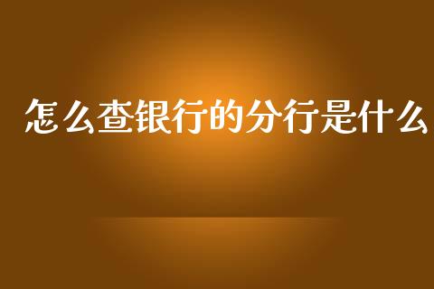 怎么查银行的分行是什么_https://cj002.lansai.wang_金融问答_第1张