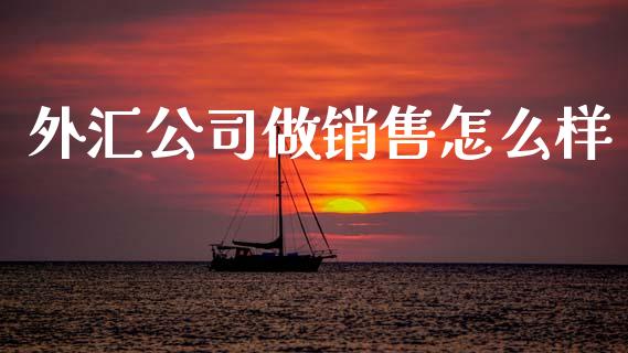 外汇公司做销售怎么样_https://cj002.lansai.wang_财经问答_第1张