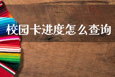 校园卡进度怎么查询_https://cj002.lansai.wang_金融问答_第1张