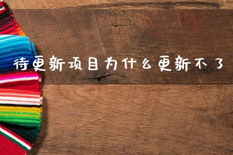 待更新项目为什么更新不了_https://cj002.lansai.wang_财经问答_第1张