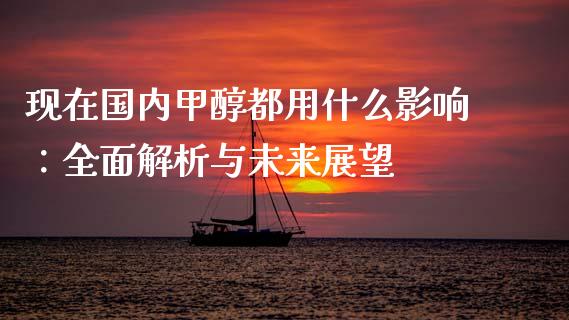 现在国内甲醇都用什么影响：全面解析与未来展望_https://cj002.lansai.wang_期货问答_第1张