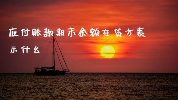 应付账款期末余额在贷方表示什么_https://cj002.lansai.wang_会计问答_第1张