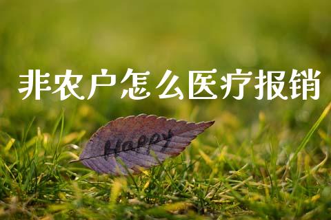 非农户怎么医疗报销_https://cj002.lansai.wang_保险问答_第1张
