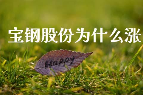 宝钢股份为什么涨_https://cj002.lansai.wang_金融问答_第1张